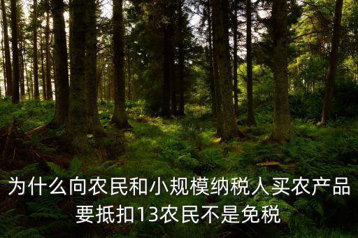 農(nóng)產(chǎn)品為什么要扣除，為什么向農(nóng)民和小規(guī)模納稅人買農(nóng)產(chǎn)品要抵扣13農(nóng)民不是免稅