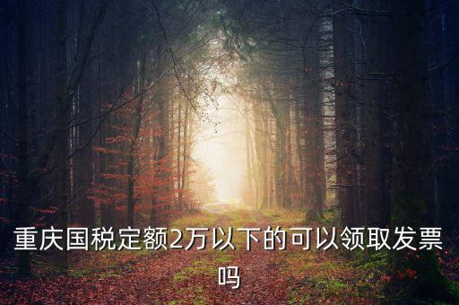 重慶用的什么定額發(fā)票，重慶國稅定額2萬以下的可以領(lǐng)取發(fā)票嗎