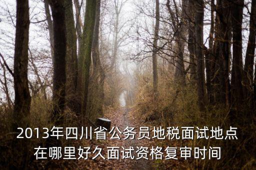 2016年四川地稅資格復(fù)審什么時(shí)候，大概什么時(shí)候資格復(fù)審啊