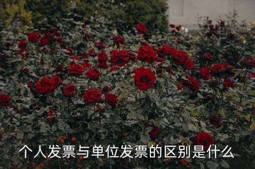 個(gè)人發(fā)票有什么內(nèi)容，個(gè)人發(fā)票與單位發(fā)票的區(qū)別是什么