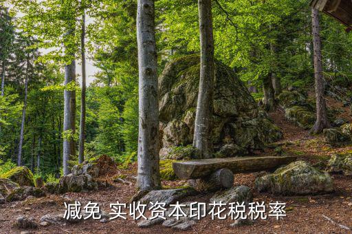 減實收資本要交什么稅，實收資本在注冊登記后就需要繳納印花稅以后按年度增加部分計算繳