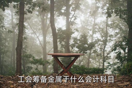 工會(huì)籌備金是什么意思，工會(huì)籌備金計(jì)入什么科目呀