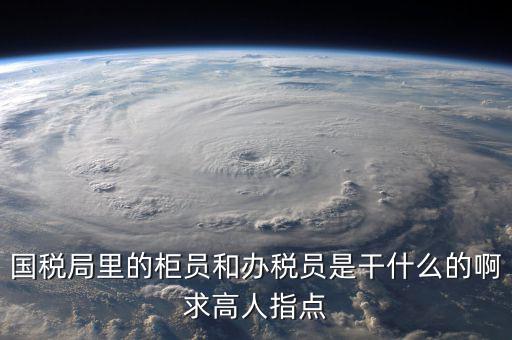 什么叫辦稅員，國(guó)稅局里的柜員和辦稅員是干什么的啊求高人指點(diǎn)