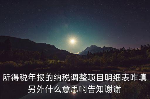 納稅調(diào)整項(xiàng)目明細(xì)表是什么意思，稅后調(diào)整是什么意思