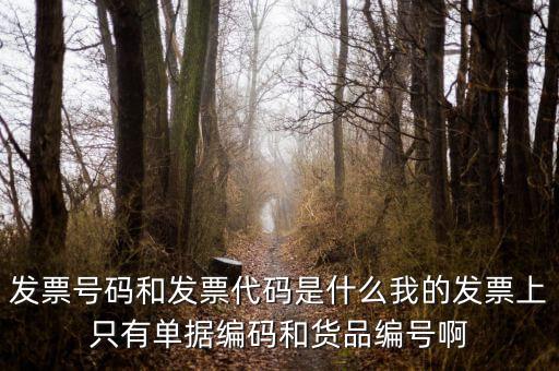 發(fā)票結(jié)存號碼是什么，發(fā)票號碼是指哪個號碼