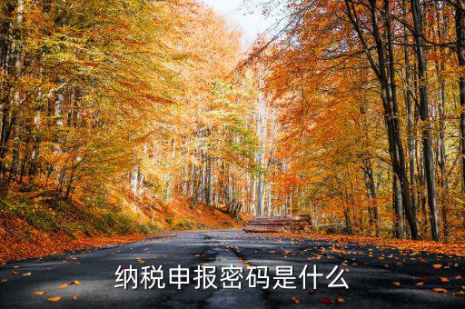 怎樣查地稅密碼是什么，稅務(wù)數(shù)字證書(shū)密碼忘記或鎖定如何解決