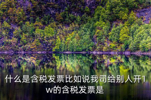 什么行業(yè)一般人發(fā)票含稅，什么類納稅人可以開增值稅專用發(fā)票