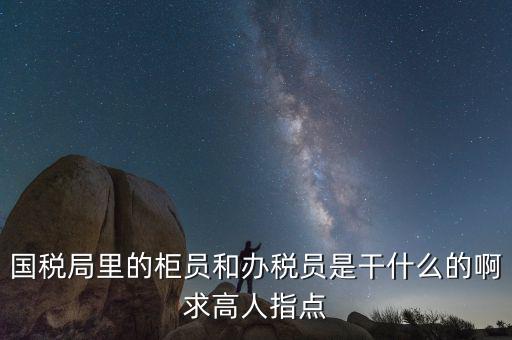 國稅志愿者可以做什么，國稅局里的柜員和辦稅員是干什么的啊求高人指點(diǎn)