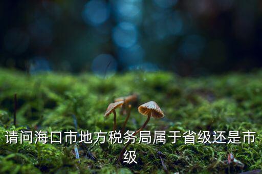 請問?？谑械胤蕉悇站謱儆谑〖夁€是市級