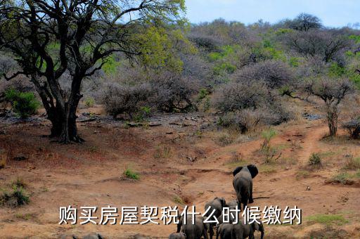 鶴壁契稅什么時(shí)候交，什么時(shí)間繳納契稅