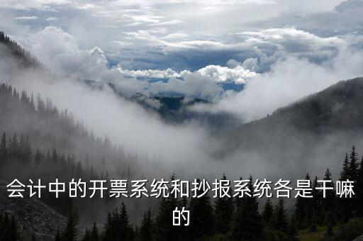 報(bào)稅開票系統(tǒng)是什么意思，每個(gè)月一號(hào)重登金稅盤開票系統(tǒng)是什么意思
