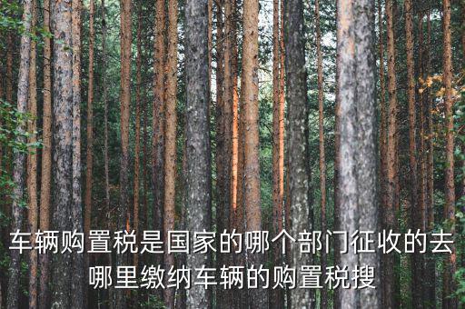 車購稅局屬于什么，車輛購置稅是國家的哪個(gè)部門征收的去哪里繳納車輛的購置稅搜
