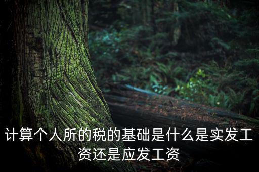 稅金的計算基礎是什么，計稅基礎是什么意思