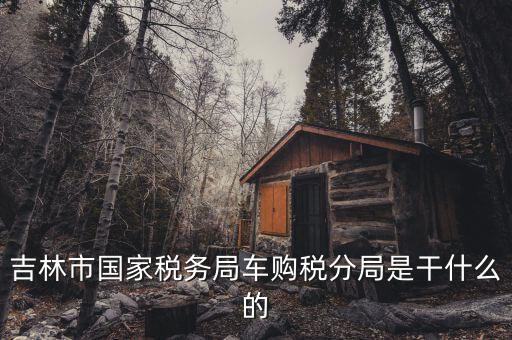 車購稅局主要干什么，新車去地稅局干什么