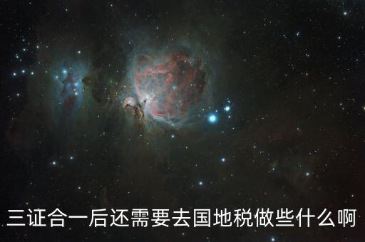 去國地稅是做什么，公司銀行年檢去國地稅開發(fā)票等事務(wù)是會計(jì)的職責(zé)還是出納的職責(zé)