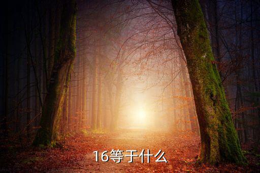 什么深圳1 6政策指，16等于什么