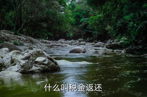 稅收退還的協(xié)議叫什么，什么是稅費返還