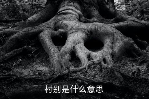 稅務(wù)所村審是什么意思，村別是什么意思