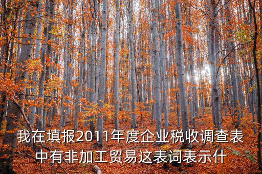 我在填報2011年度企業(yè)稅收調查表中有非加工貿(mào)易這表詞表示什