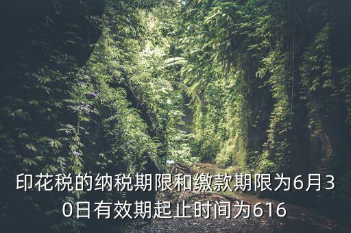 繳款期限什么意思，滯納金是什么意思