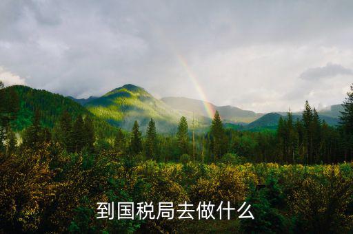 國稅局什么工作，國稅是做什么工作的