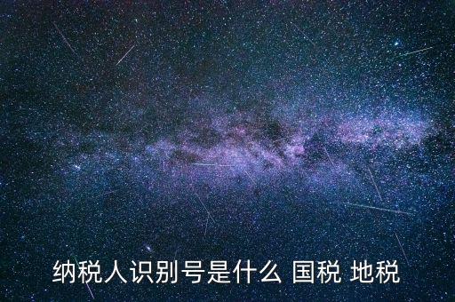 單位納稅識別號是什么，納稅人識別號是什么有多少位