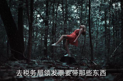 國稅領取發(fā)票需要帶什么，去國稅局領發(fā)票要帶什么