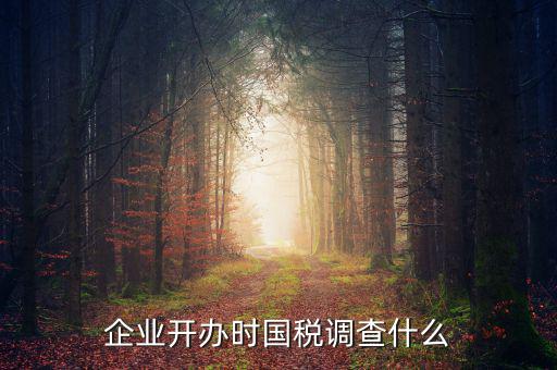 國稅稅收調(diào)查調(diào)查什么，國稅三稅調(diào)查是指哪三稅