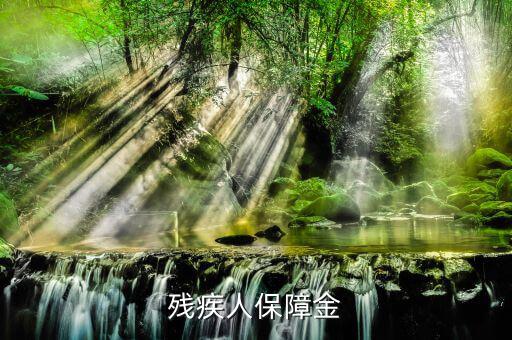 殘疾人保證金是什么，殘疾人保障金