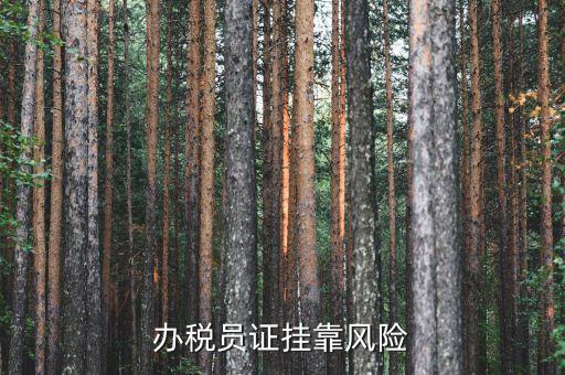 實(shí)名辦稅員有什么風(fēng)險(xiǎn)，里面有個(gè)辦稅人要填我的名字會(huì)不會(huì)付法律責(zé)任有什么風(fēng)險(xiǎn)沒(méi)