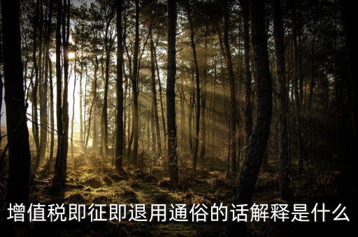 增值稅即征即退用通俗的話(huà)解釋是什么