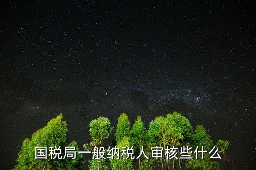 國(guó)稅審查企業(yè)些什么，國(guó)稅局一般納稅人審核些什么