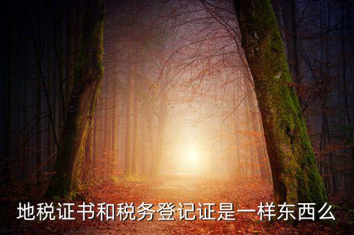 地稅登記證是什么，地方稅納稅資料封面上稅務(wù)登記證號(hào)是甚么