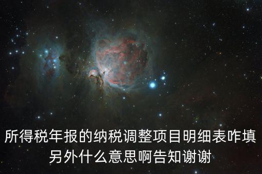 所得稅年報的納稅調(diào)整項目明細(xì)表咋填另外什么意思啊告知謝謝