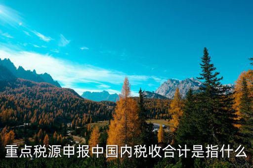月核定稅額合計是什么，價稅合計是什么意思呢