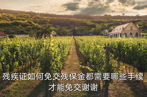 殘疾人免什么資料，在職工殘疾人需要提交哪些資料可以免交工資稅