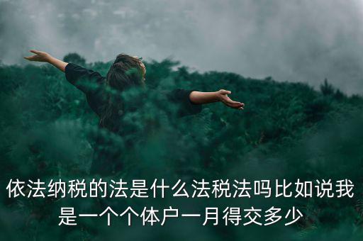 什么是依法納稅人，依法納稅的法是什么法稅法嗎比如說我是一個個體戶一月得交多少