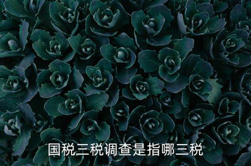 全國(guó)稅收調(diào)查是什么，全國(guó)稅收調(diào)查表中審核公式IFXXBB8 1 XXBB8 4