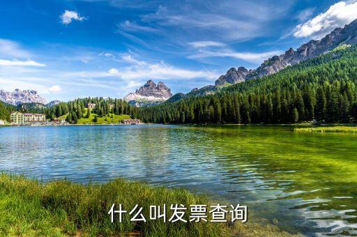 發(fā)票查驗單是什么意思，簡述什么是發(fā)票檢查