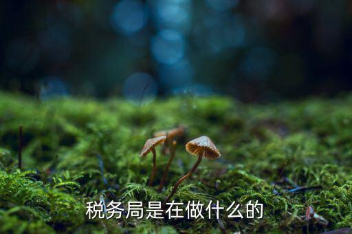 稅務(wù)總局是做什么的，稅務(wù)局是在做什么的