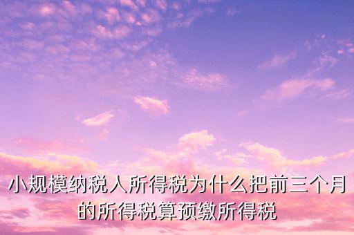 為什么會有預繳所得稅，我企業(yè)是今年1月被稅局核定按收入繳納企業(yè)所得稅 為什么第一季度報