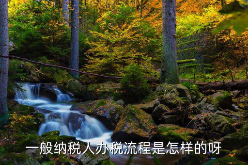 什么是正常辦稅，一般納稅人辦稅流程是怎樣的呀