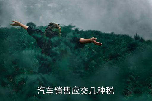 汽車銷售應交幾種稅