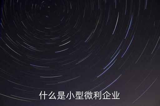 什么是小型微利，什么是小型微利企業(yè)收入從業(yè)人員其它條件