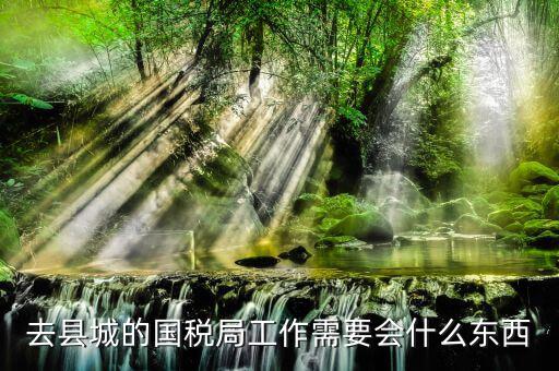 國(guó)家稅務(wù)局都要會(huì)什么，稅務(wù)局工作需要點(diǎn)什么