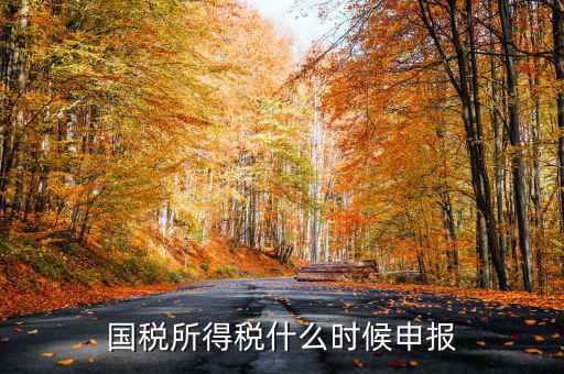 國稅所得稅什么時(shí)候申報(bào)
