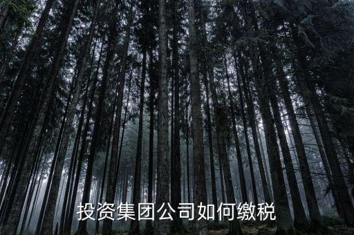 投資公司交什么稅2017，投資集團公司如何繳稅