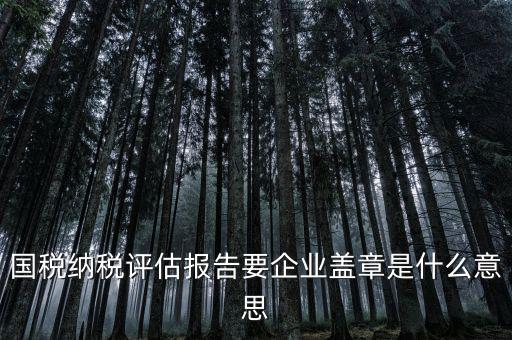 稅務(wù)國(guó)別報(bào)告是什么意思，國(guó)稅納稅評(píng)估報(bào)告要企業(yè)蓋章是什么意思