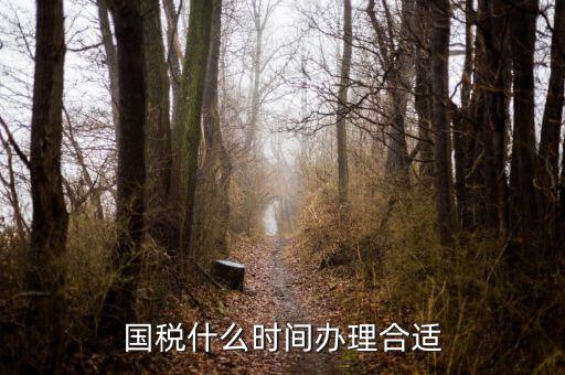 國(guó)稅局申請(qǐng)什么時(shí)候好，國(guó)稅什么時(shí)間辦理合適