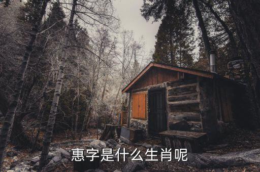 惠稅無憂的密碼是什么，自噴漆稅收商品編碼是多少